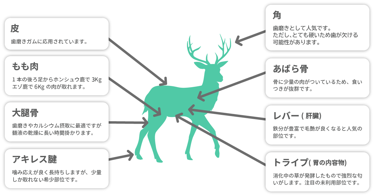ペットフードに利用する鹿肉の部位